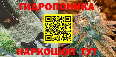 круглые Севастополь