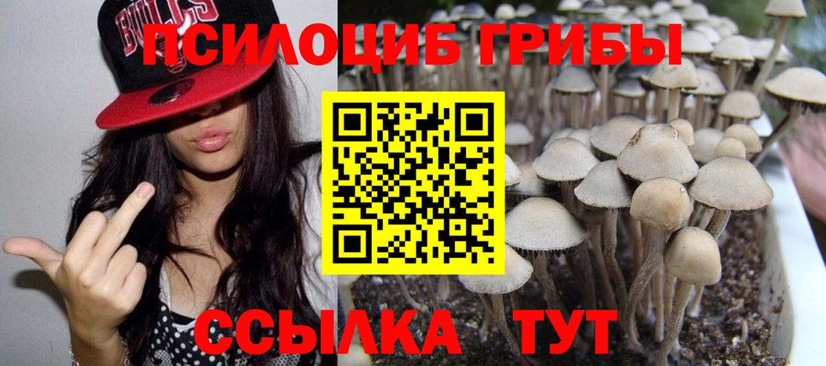 Галлюциногенные грибы MAGIC MUSHROOMS Острогожск