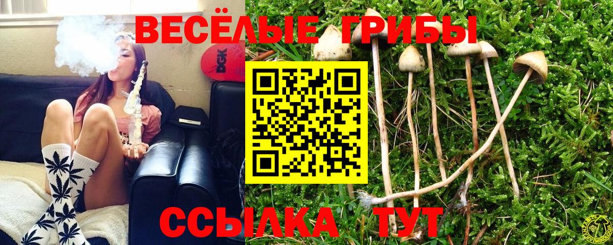 Острогожск  Псилоцибиновые грибы Psilocybine cubensis  Псилоцибиновые грибы Magic Shrooms  Вход с VPN 